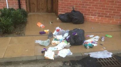Destruction caused by a fox, fox control and education will stop this from happening | Fox control Kent