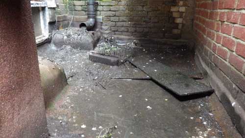 bird mess and bird clearance | Pest Control Ashford