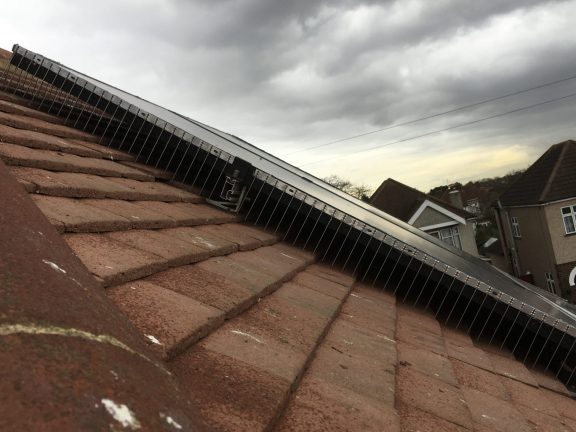 Solar guard attached to a solar panel.