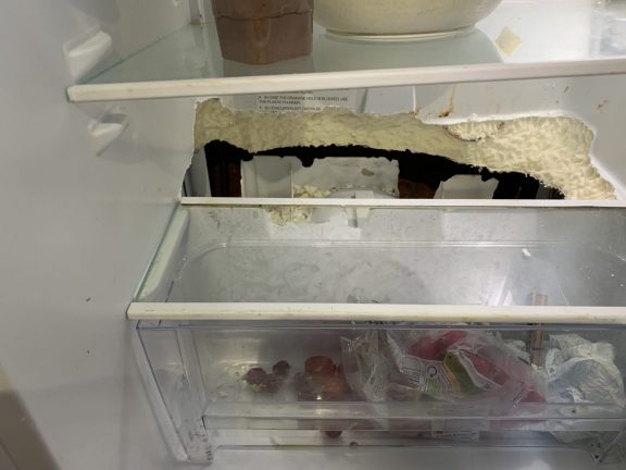 Rats in the kitchen