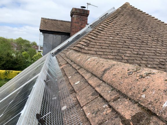 Pigeon proofing using solar panels clips to secure mesh to panels.