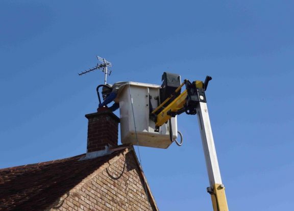 Kent honey bee removal