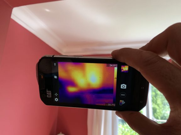 Honey bees identified by thermal camera