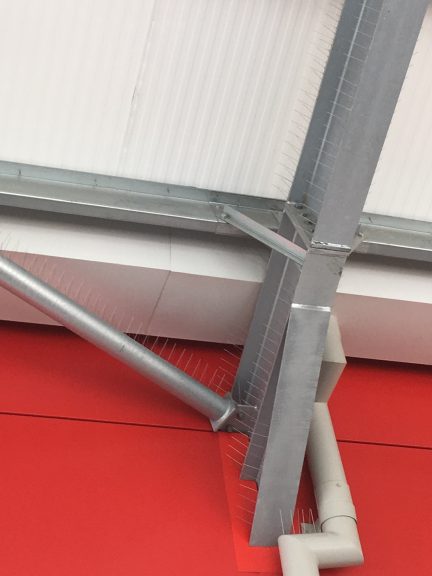 Bird spiking for pigeon control | Pest control Tonbridge