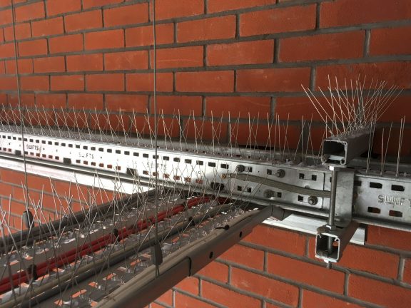 Bird Spiking for pigeon roosting points. | Pest control Tonbridge
