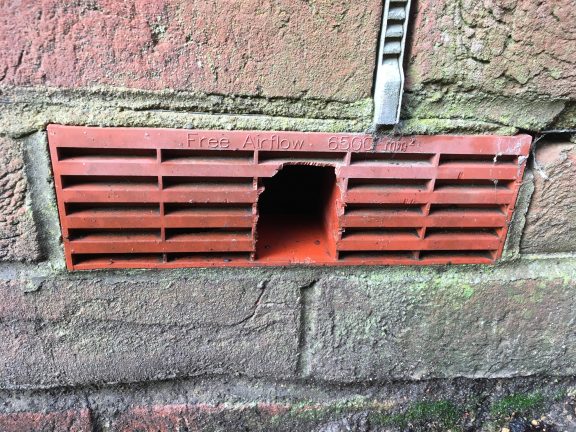 A mouse can get in the house via a plastic vent block