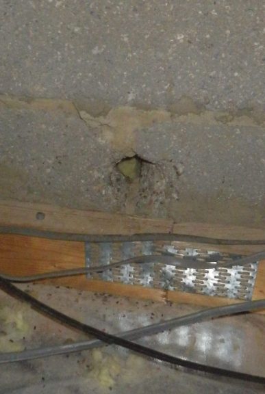 Mouse movement from house to house | Pest control near me